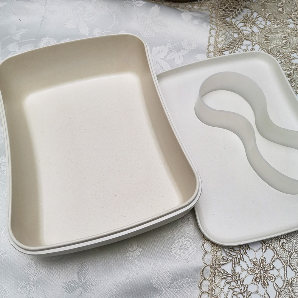 Boîte à bento carrée biodégradable écologique de couleur personnalisée